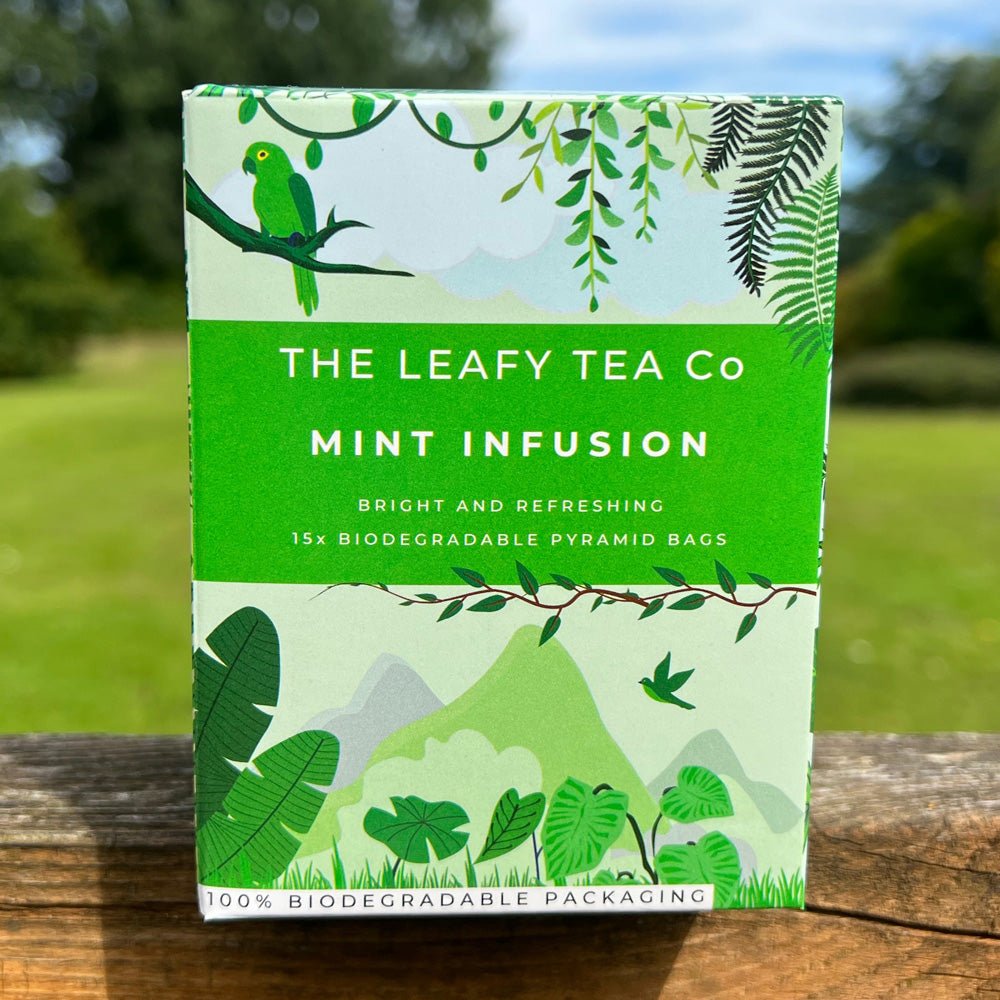Mint Infusion