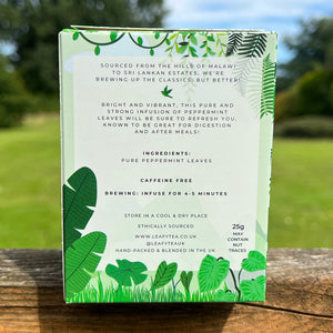 Mint Infusion