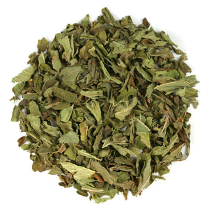Mint Infusion